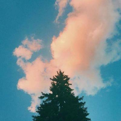 金年会官网手机版下载