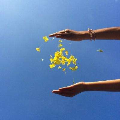 皇冠app下载安装免费下载