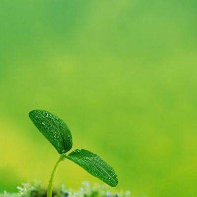 金年会官网手机版下载