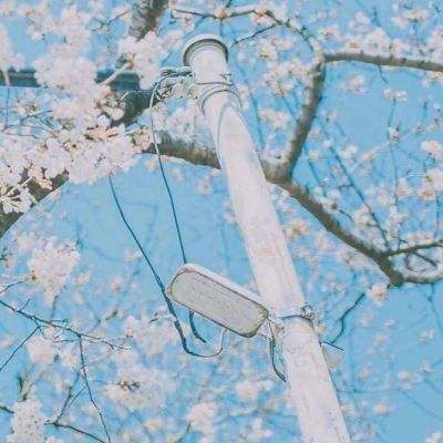 乐鱼官网手机版手机app下载