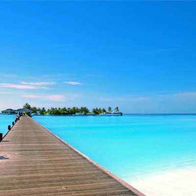 管家婆一码一肖资料手机app下载